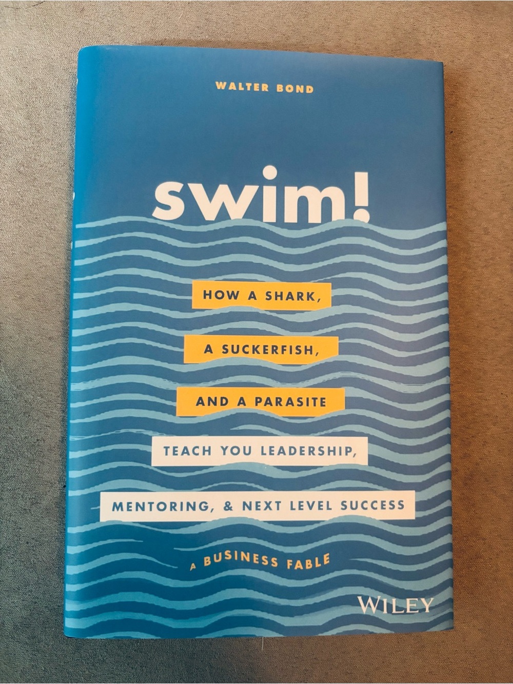 Swim! How a Shark, a Suckerfish, and a Parasite Teach You Leadership -See Photos